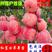 【好货】红富士苹果苗，烟富10号，品种纯正，口感好产量高