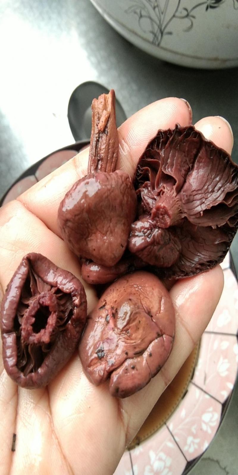 辽宁2026铆钉菇，红蘑，红松伞肉蘑需要尖货的来