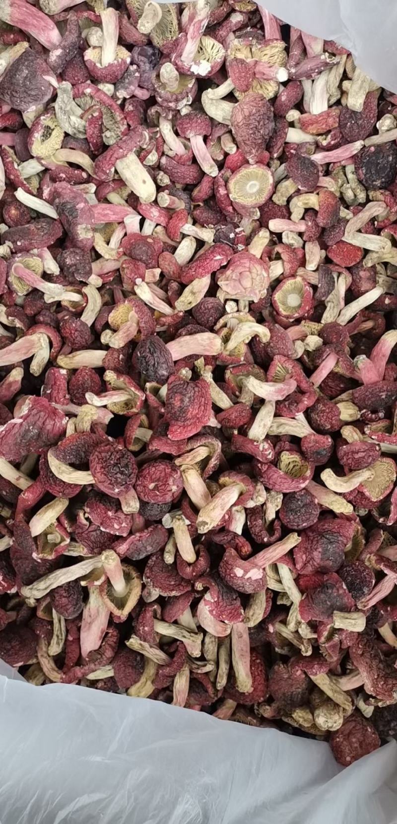 红菇，红菇，红菇，红菇，红菇，红菇，红菇，红菇，