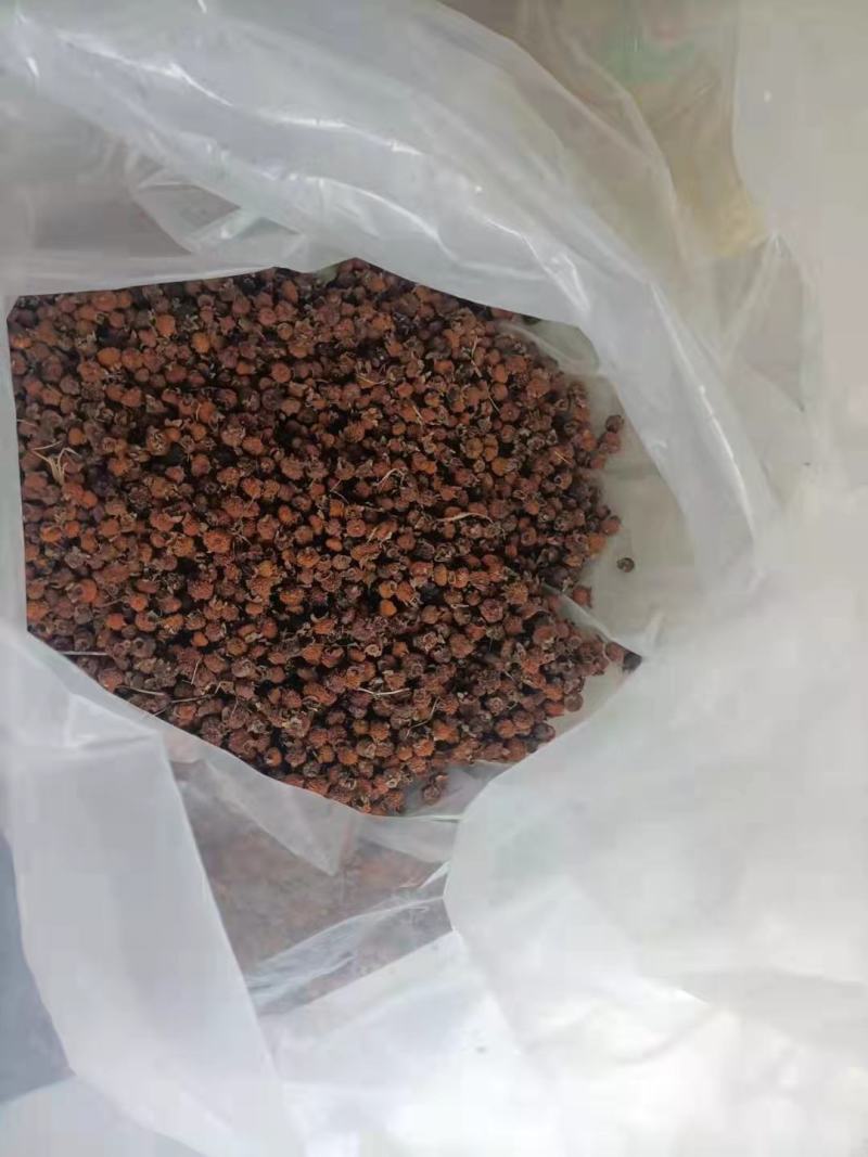 刺梨干果
