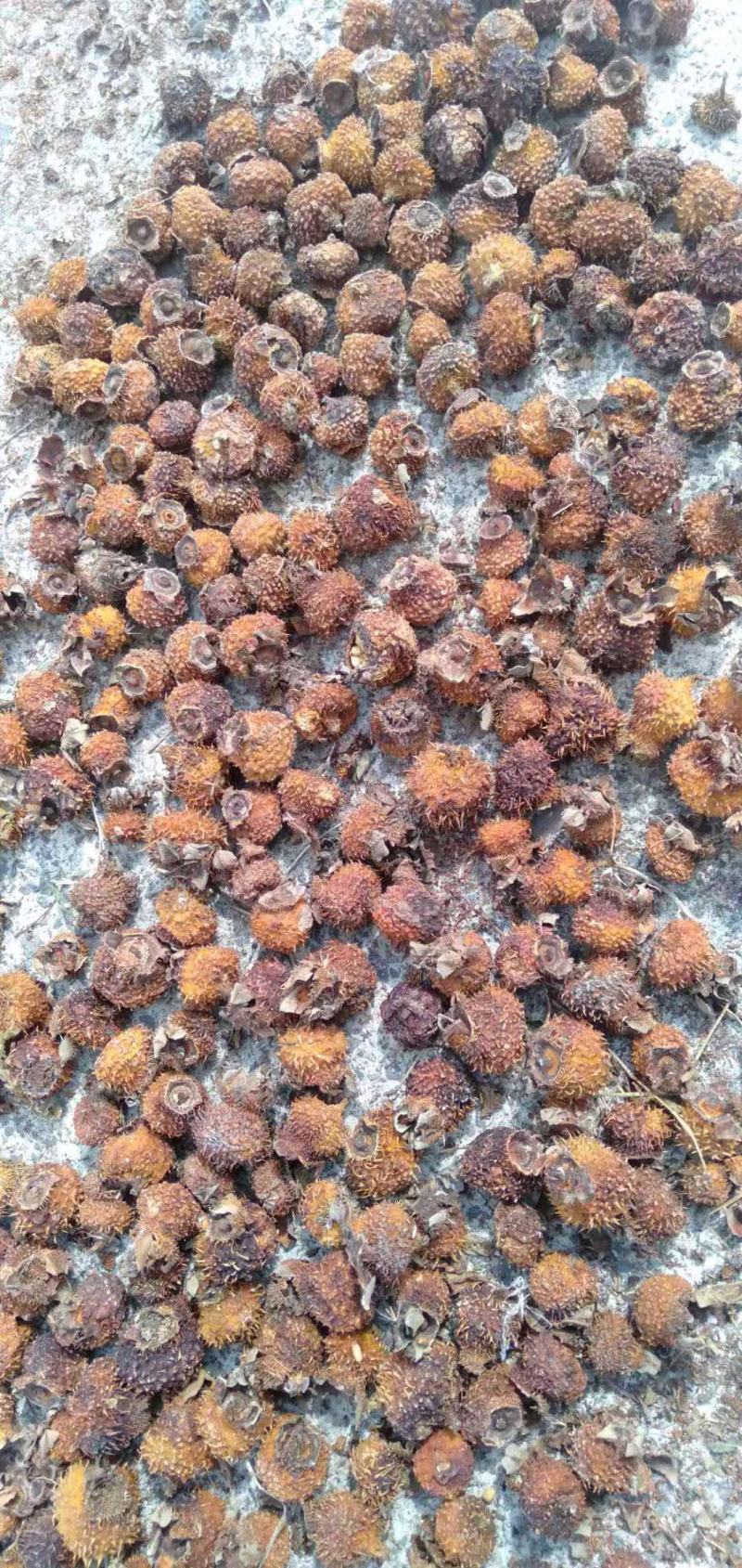 刺梨干果