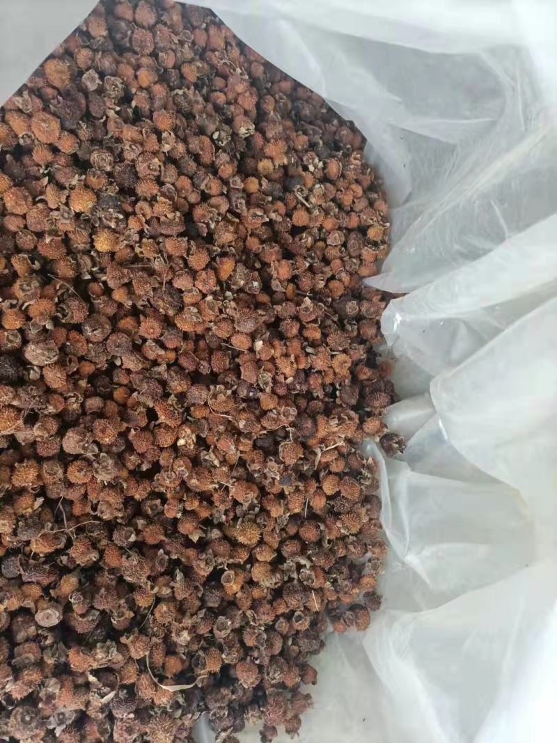 刺梨干果