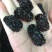 特级黑枣个头均匀味道好长期大货批发