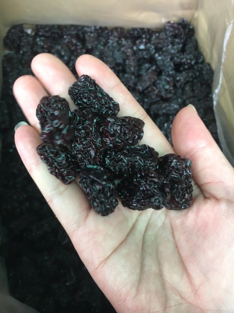 特级黑枣个头均匀味道好长期大货批发
