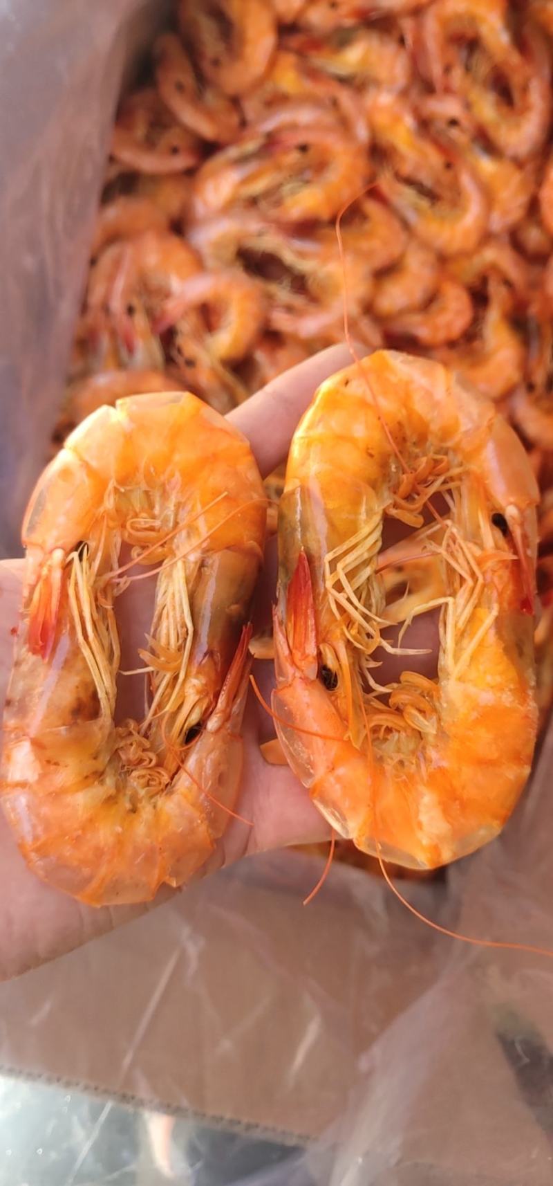 精品烤虾干，各种规格，一手加工，各种规格，常年供应