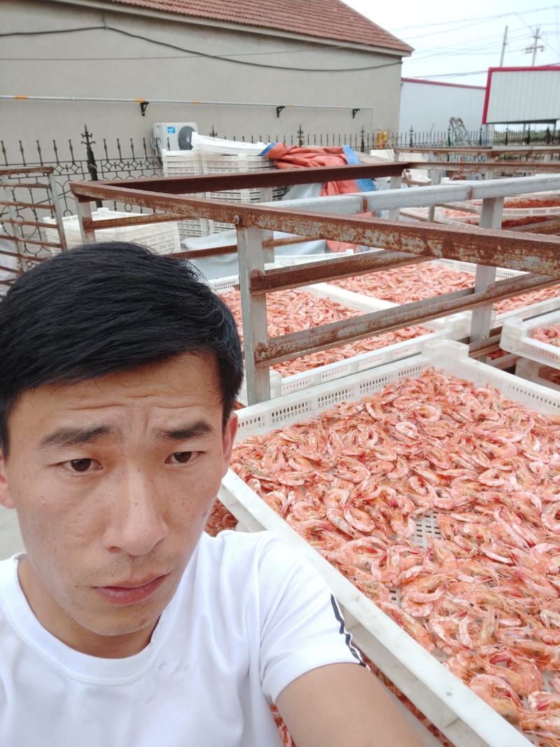 精品烤虾干，各种规格，一手加工，各种规格，常年供应