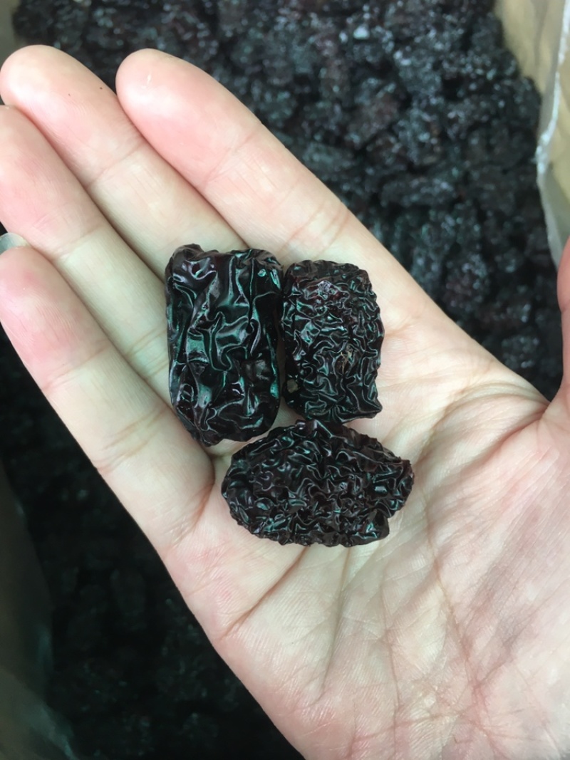 特级黑枣个头均匀味道好长期大货批发