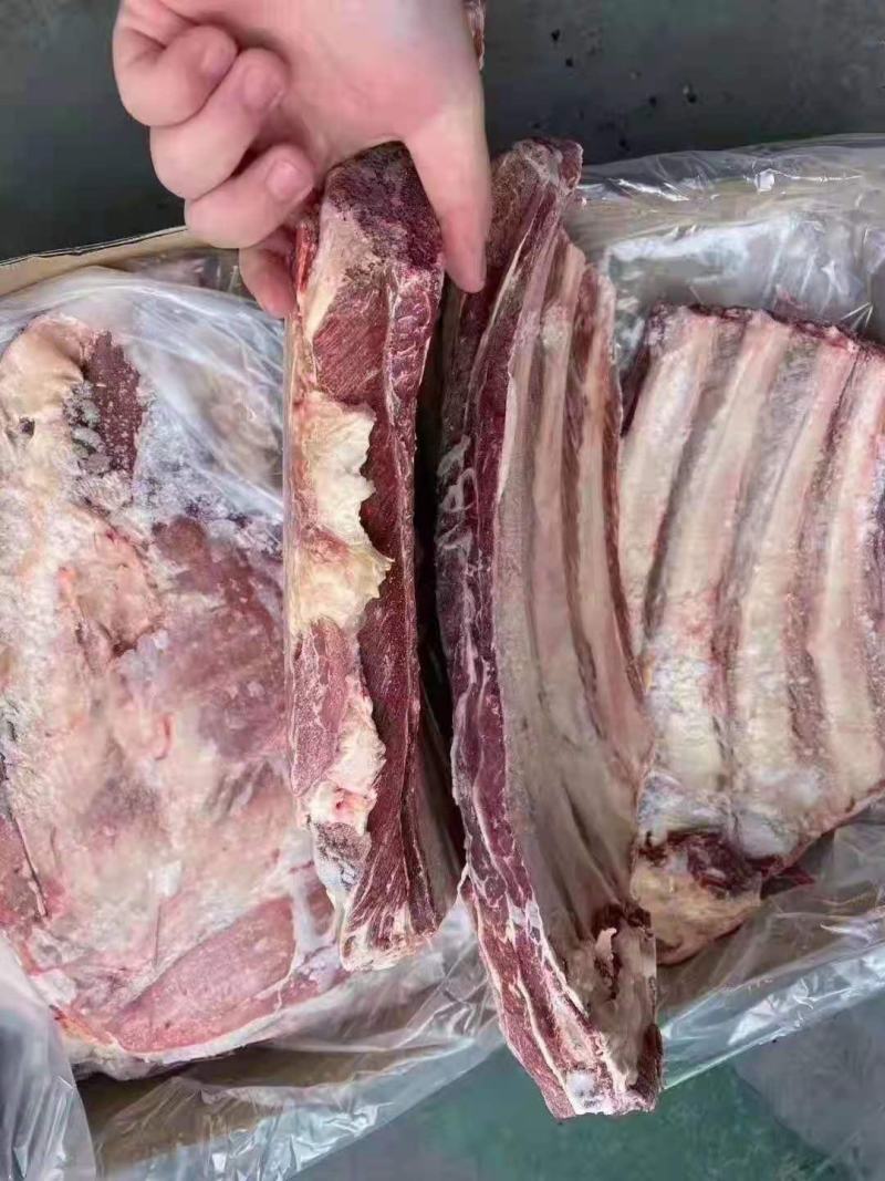牛排2厂3厂55厂牛肋排，实拍图片，一手货源，全国冷链发