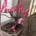 无丝豆，，，，，，，，，，！！！！！！！！