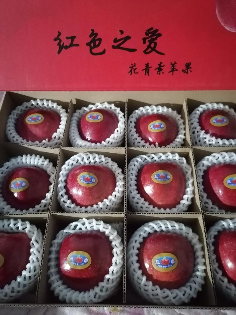 红色之爱119-06产自辽宁丹东，红色之爱苹果里外全红。