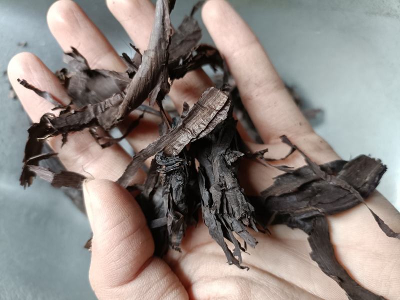 紫草新疆软紫草硬紫草供应各种中药材