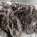 紫草新疆软紫草硬紫草供应各种中药材