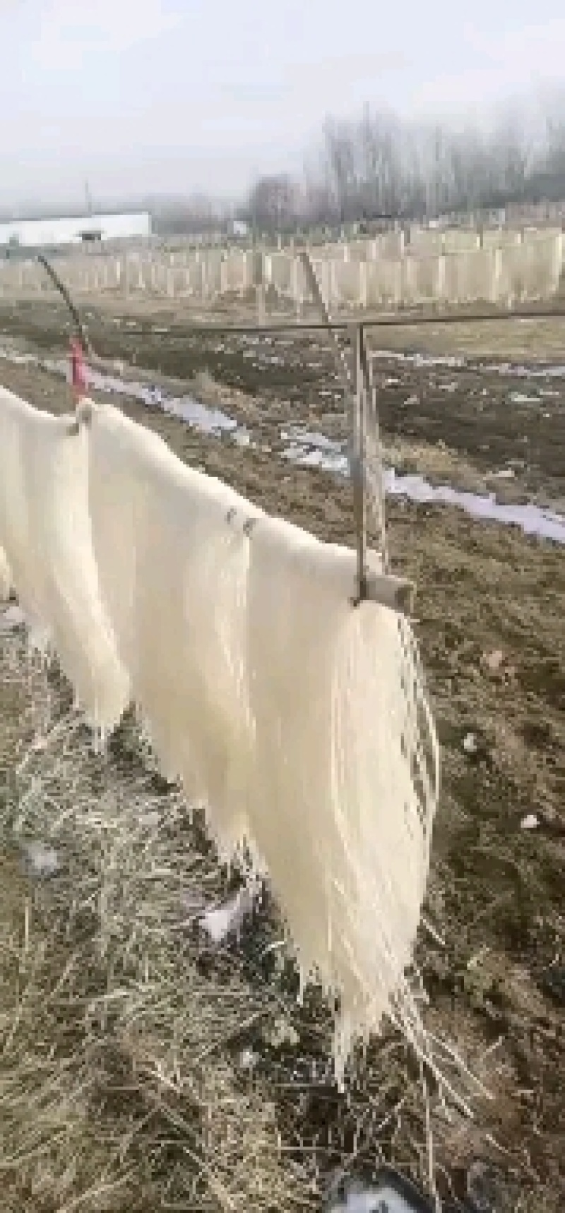 山药粉条厂家直销三证齐全，