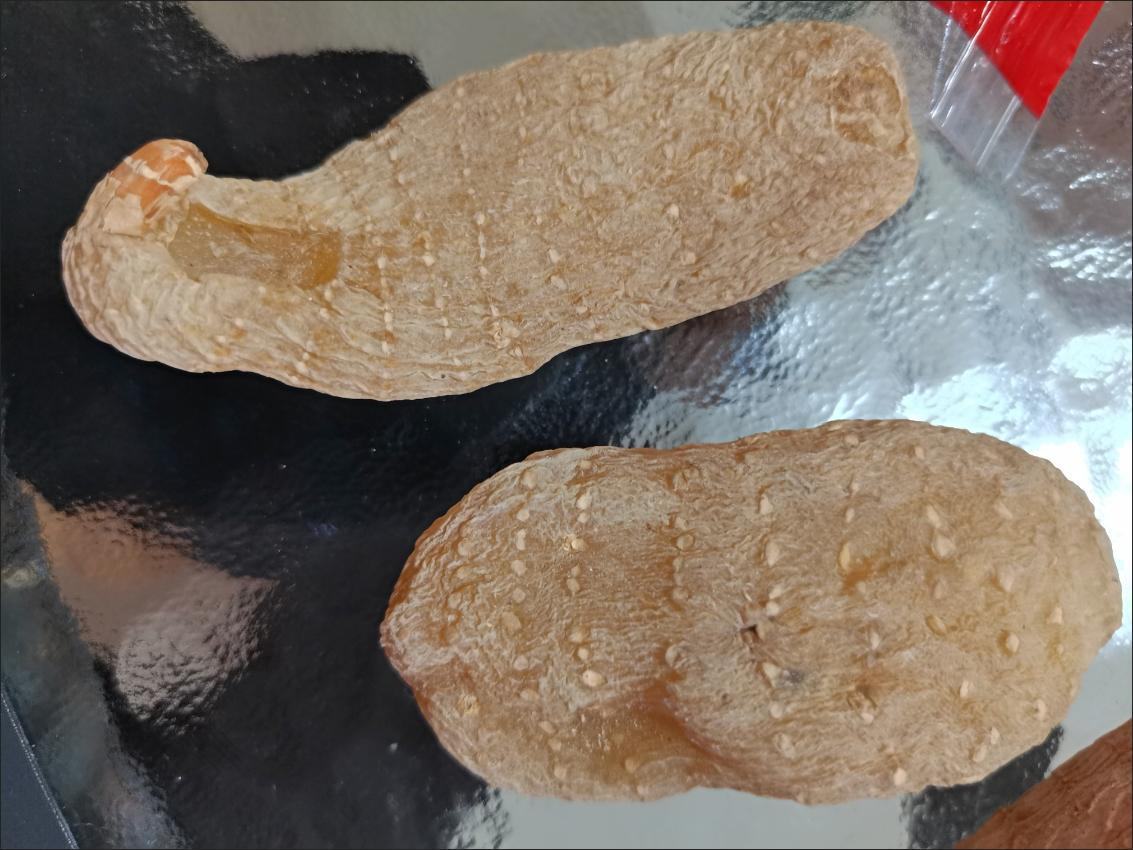 床上发现像芝麻的虫子,疑似床虱或跳蚤 床上发现像芝麻的虫子