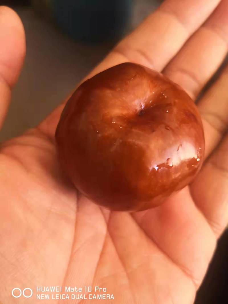 蟠枣树苗保证纯度基地发货现挖现发保湿邮寄包邮