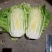 100亩大白菜大量上市