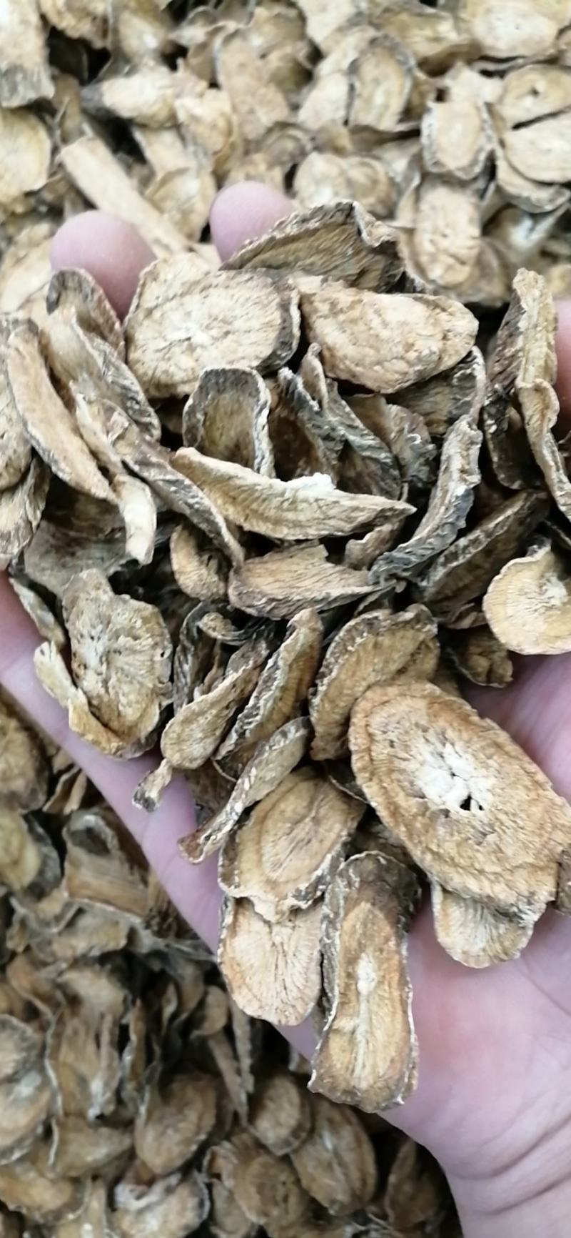 牛蒡茶精选优质牛蒡茶包邮无硫无添加精挑细选批发零售各种规