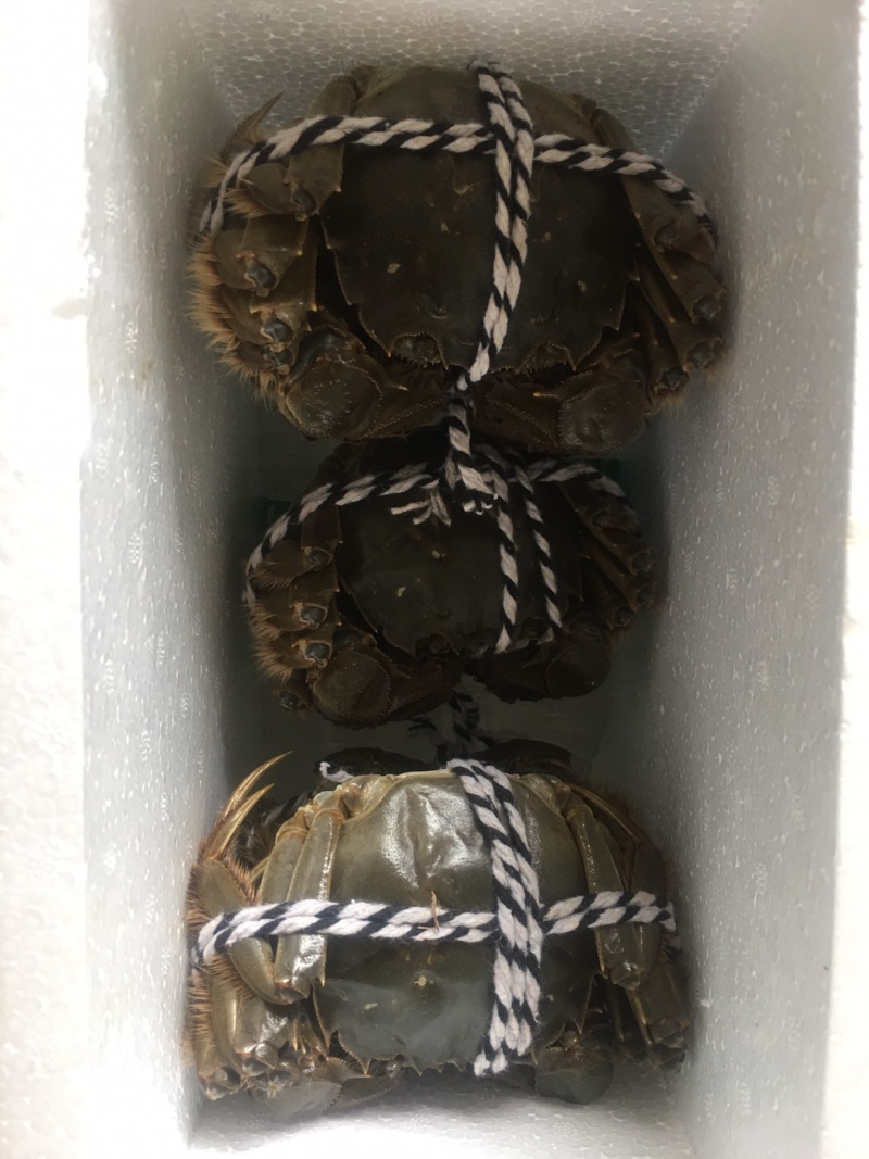 洪泽湖自己家的蟹塘养殖的大闸蟹，可批发，可零售，
