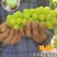 阳光玫瑰葡萄苗，夏黑，5BB，3309-品种保证假一倍十
