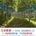 阳光玫瑰葡萄苗，夏黑，5BB，3309-品种保证假一倍十