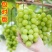 阳光玫瑰葡萄苗，夏黑，5BB，3309-品种保证假一倍十