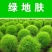 红绿叶地肤草种子扫帚菜种子花海花坛庭院盆栽草坪花草籽