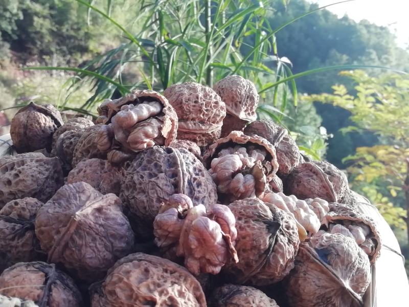 25年云南不苦不涩谈紫衣紫孕妇专用休闲零食老树甜味核桃