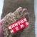 冰草种子别名野麦子扁穗冰草羽状小麦草暖季型草坪种子