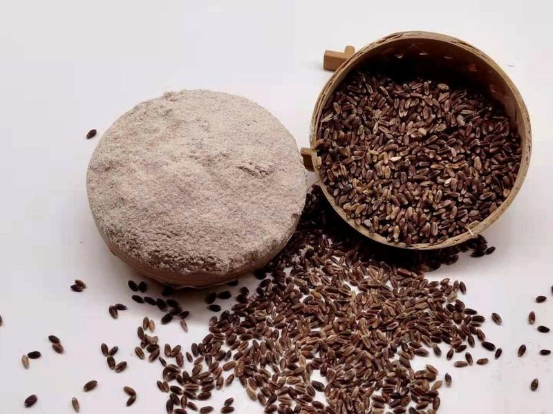 黑全麦面粉石磨家用黑麦全麦面粉含麦麸黑小麦全麦面粉包邮