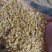 碎大豆，膨化大豆，榨油，压饼豆，上地肥料豆