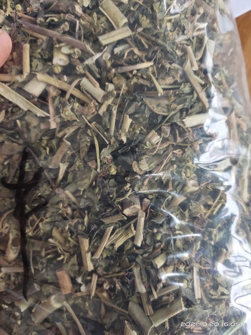 【文斌药业】泽漆猫眼草干净无杂质地道药材