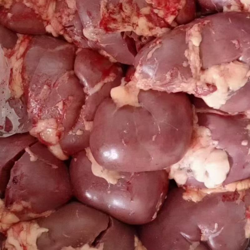 生鲜马肉驴肉，去皮带皮，自家养殖屠宰加工，一手货源！