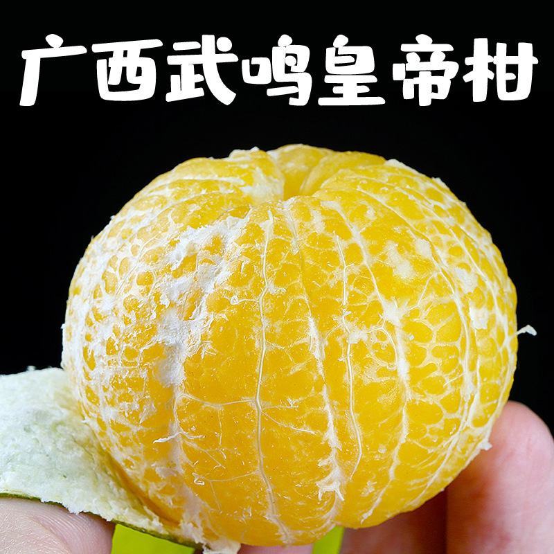广西皇帝柑贡柑新鲜水果柑橘当季橘子水果皇帝柑果园一件代发