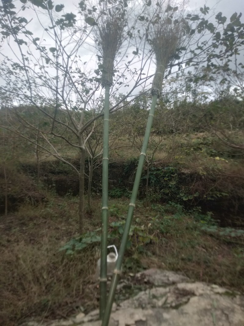 厂家直供大竹柄扫把，揉软耐磨，耐用，长期供应，欢迎惠顾