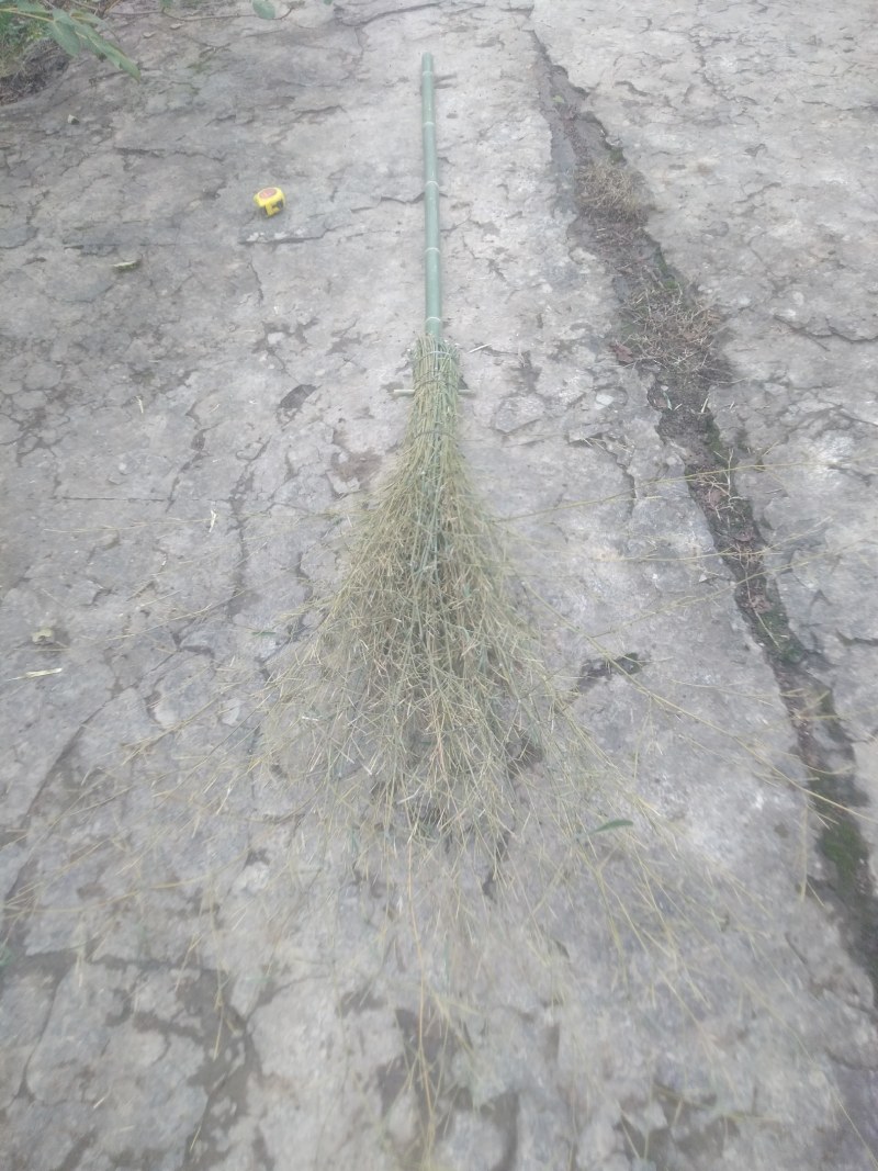 厂家直供大竹柄扫把，揉软耐磨，耐用，长期供应，欢迎惠顾