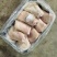 国产前肘10-13。。。。。。。。。。。。