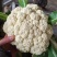 花菜，有机花菜，商超品质，青梗散花全国发货，产地直供