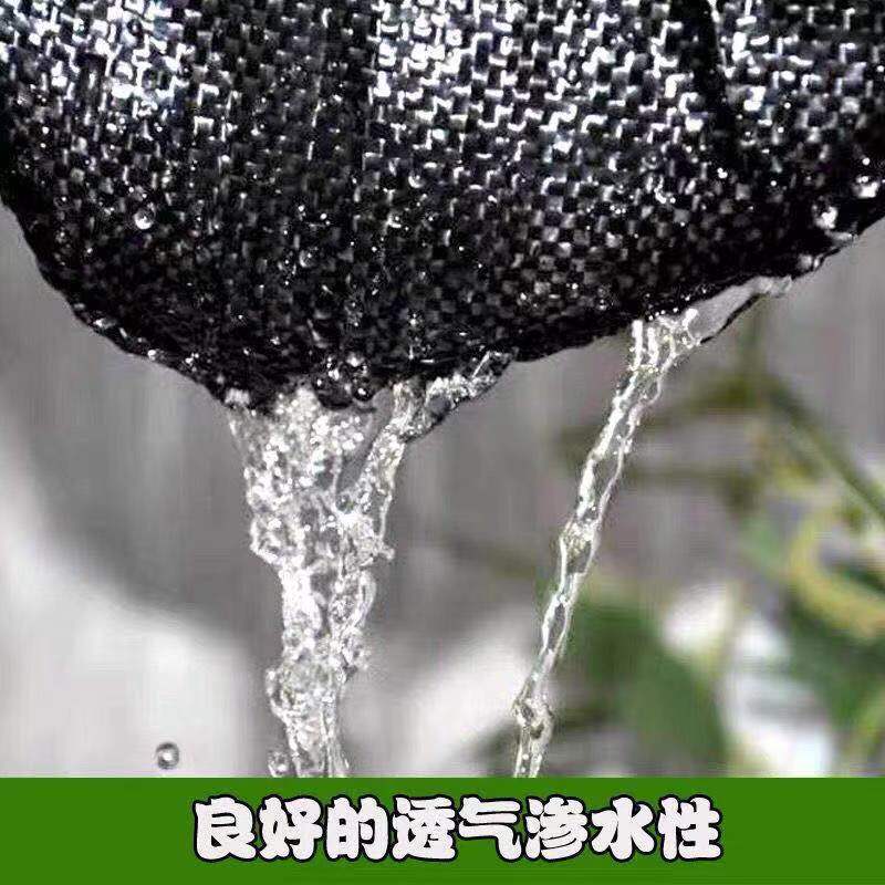 全新编织料防草布除草布单张打孔黑色透气透水加厚抗老化