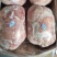 肥猪2号肉。。。。。。。。。。。。。。。。。。。。。。。