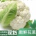 花菜，有机花菜，商超品质，青梗散花全国发货，产地直供