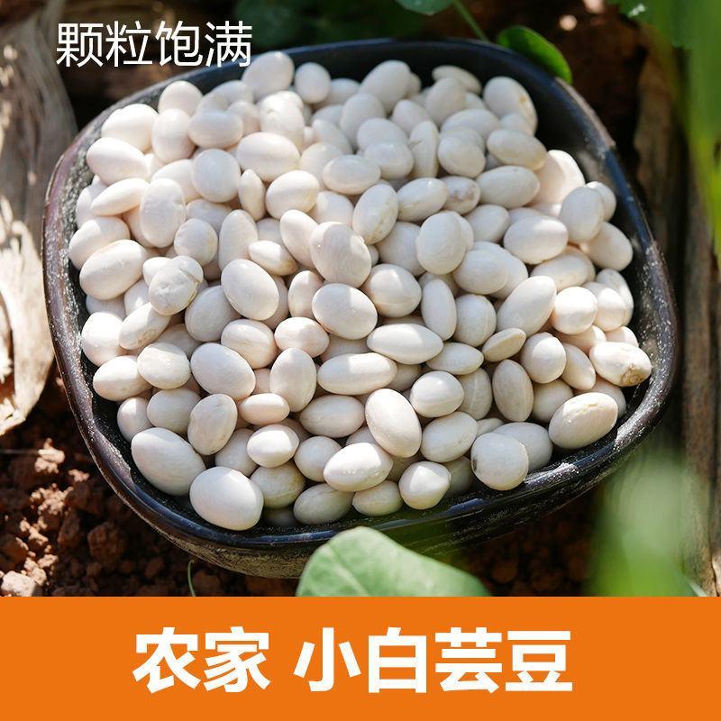 新货云南珍珠豆小白豆5斤农家自种小白芸豆炖肉煲汤豆类杂粮