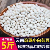 新货云南珍珠豆小白豆5斤农家自种小白芸豆炖肉煲汤豆类杂粮