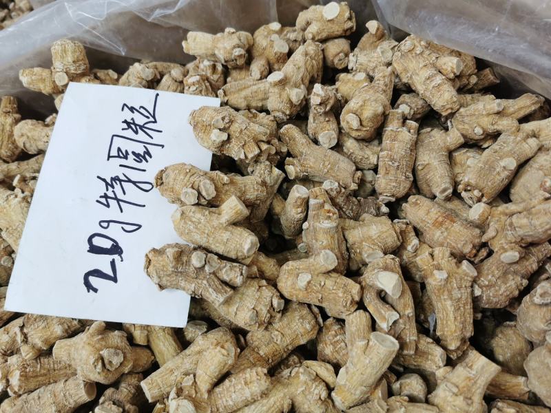 加拿大花旗参5克，10克，20克