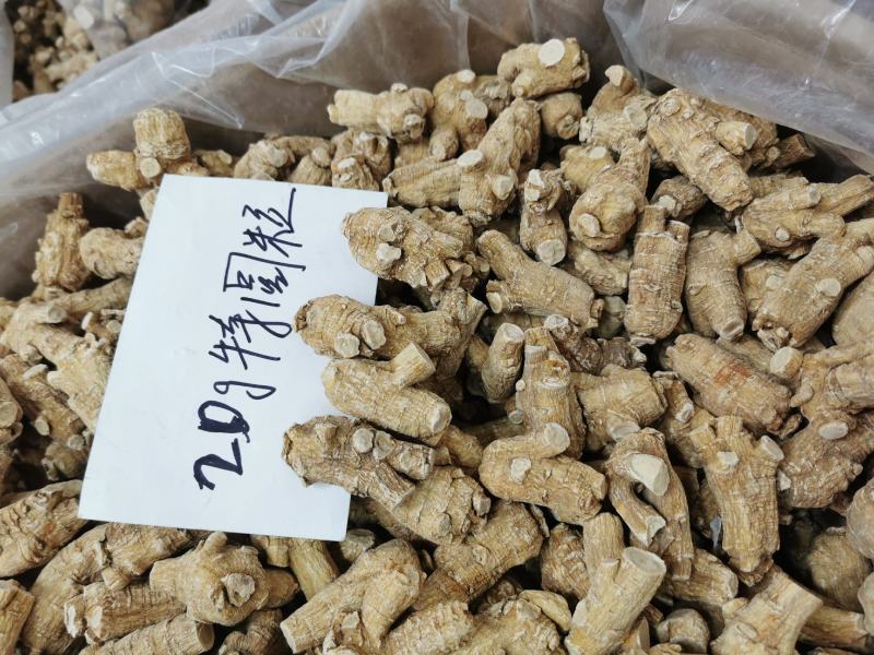 加拿大花旗参5克，10克，20克