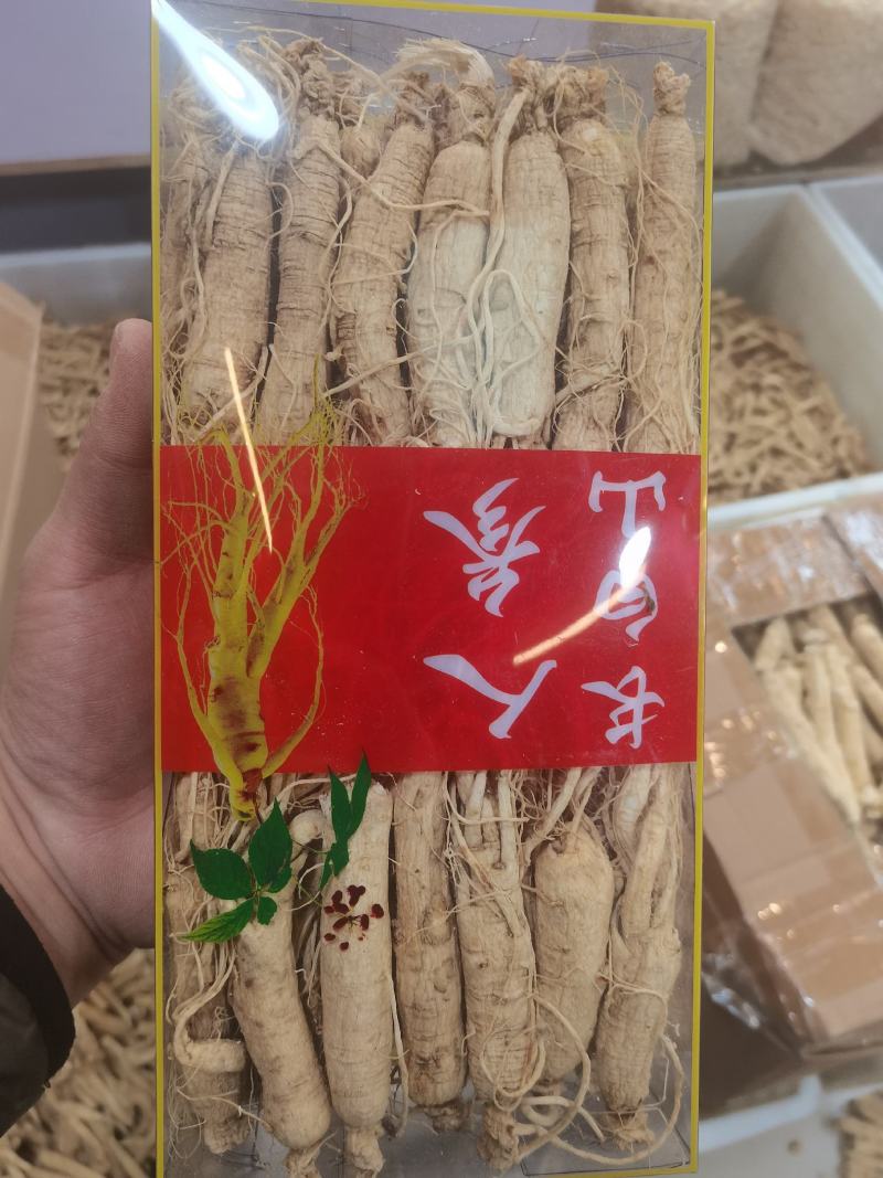 盒装长白山人参大量批发常年供应品质保障一手货源净重500克