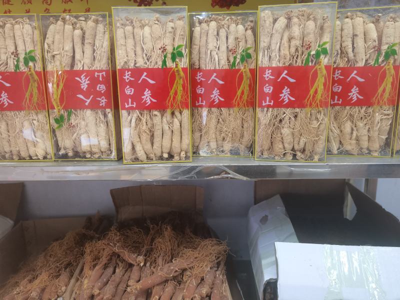 盒装长白山人参大量批发常年供应品质保障一手货源净重500克