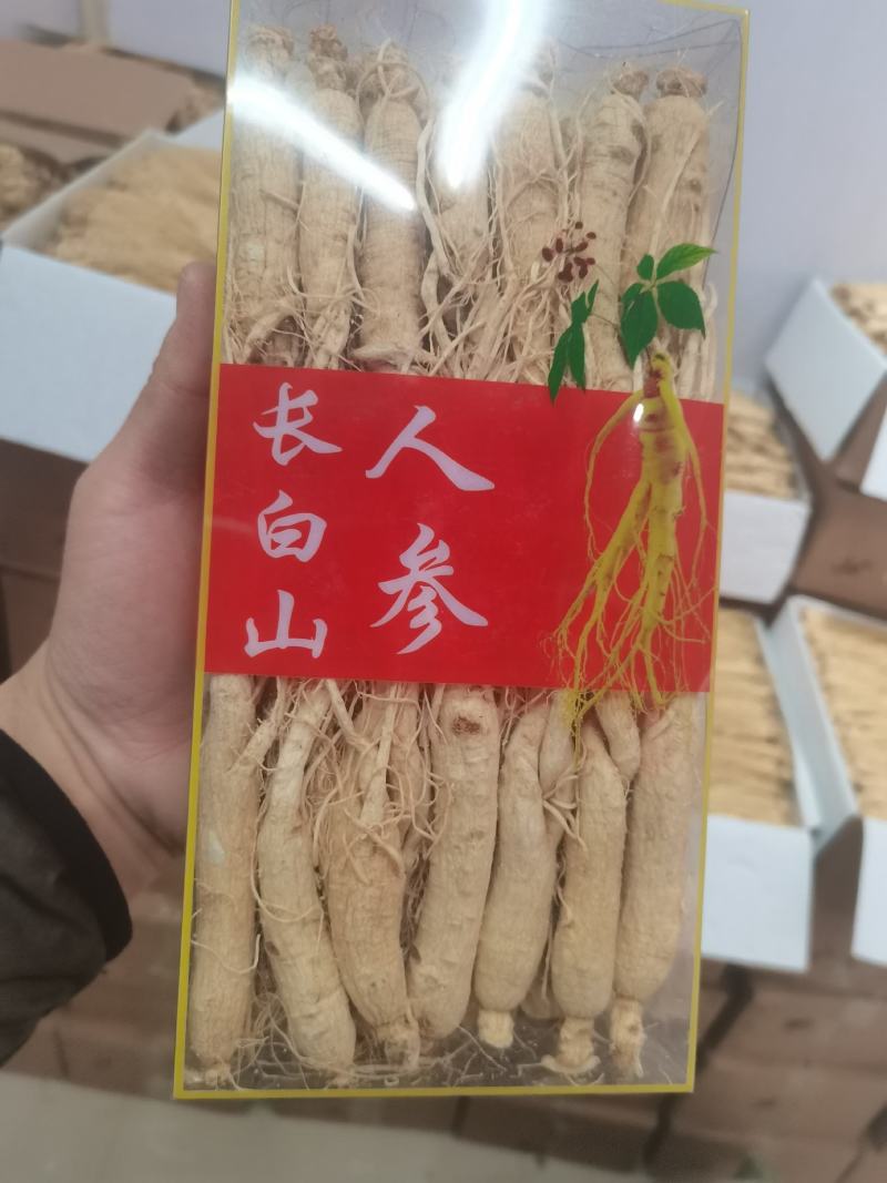 盒装长白山人参大量批发常年供应品质保障一手货源净重500克