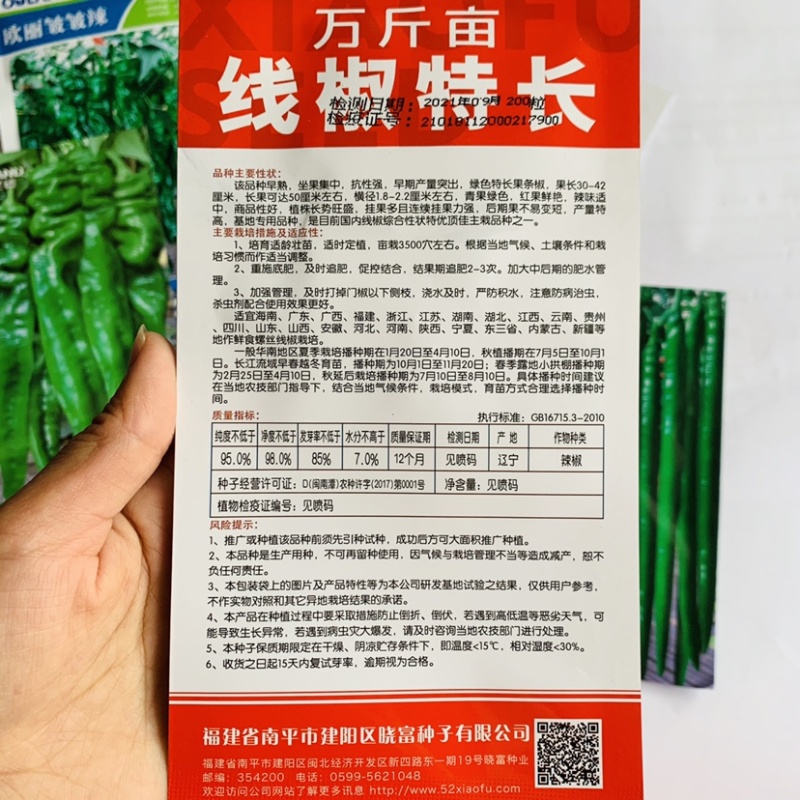 晓富万斤亩线椒特长线椒种子早熟高产采收期长绿色条椒种子
