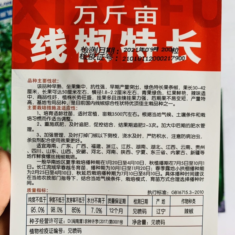 晓富万斤亩线椒特长线椒种子早熟高产采收期长绿色条椒种子