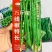 晓富万斤亩线椒特长线椒种子早熟高产采收期长绿色条椒种子